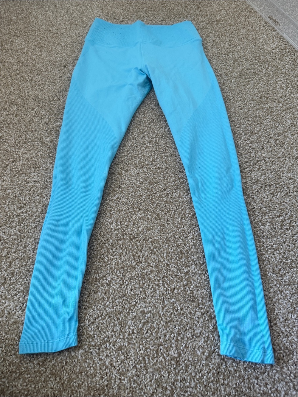 Seamless Aqua Leggings -Avocado Brand